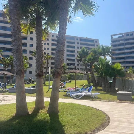 Posidonia * טורבייחה